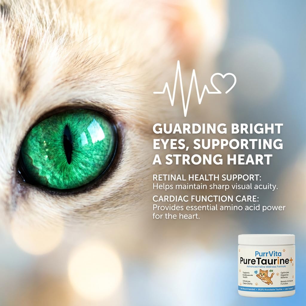 PurrVita Taurine for Cats dosing spoon included with the product