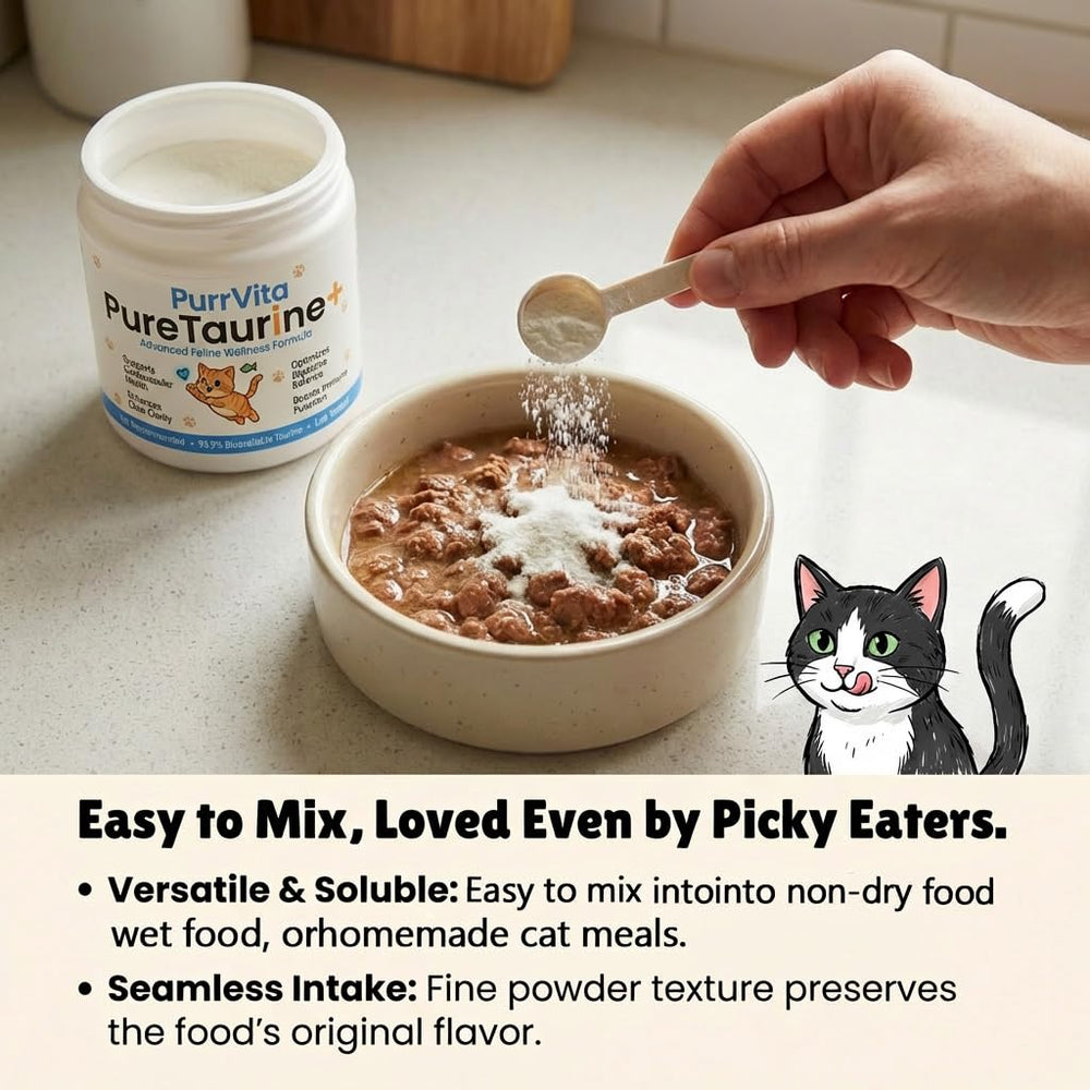 PurrVita Taurine for Cats tub on kitchen counter near meals