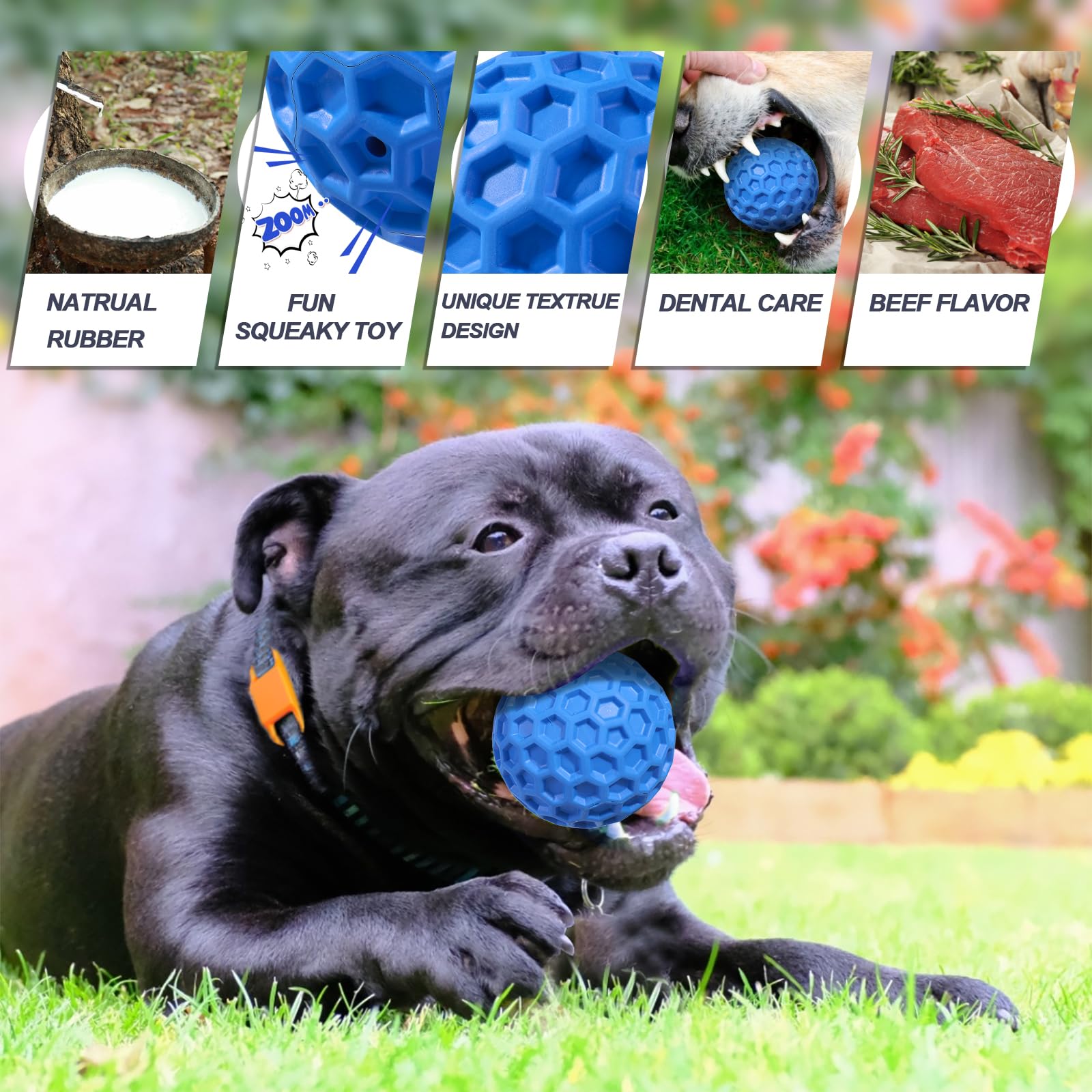 Putago Squeaky Dog Ball orange boosts interactive fetch and fun