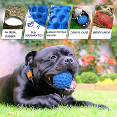Putago Squeaky Dog Ball orange boosts interactive fetch and fun