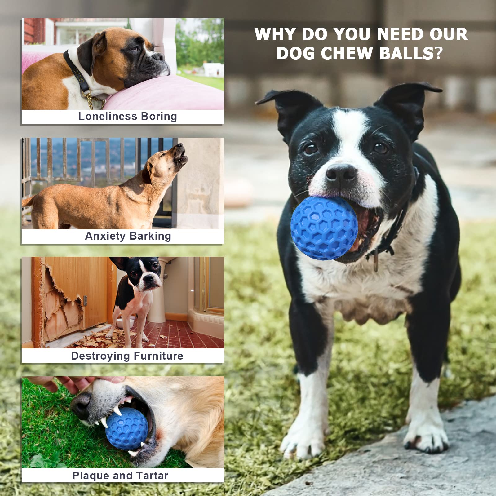 Putago floating dog toy for water play at park or beach