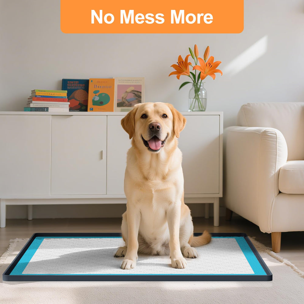 PUWANJILI non-slip silicone base prevents shifting during play.