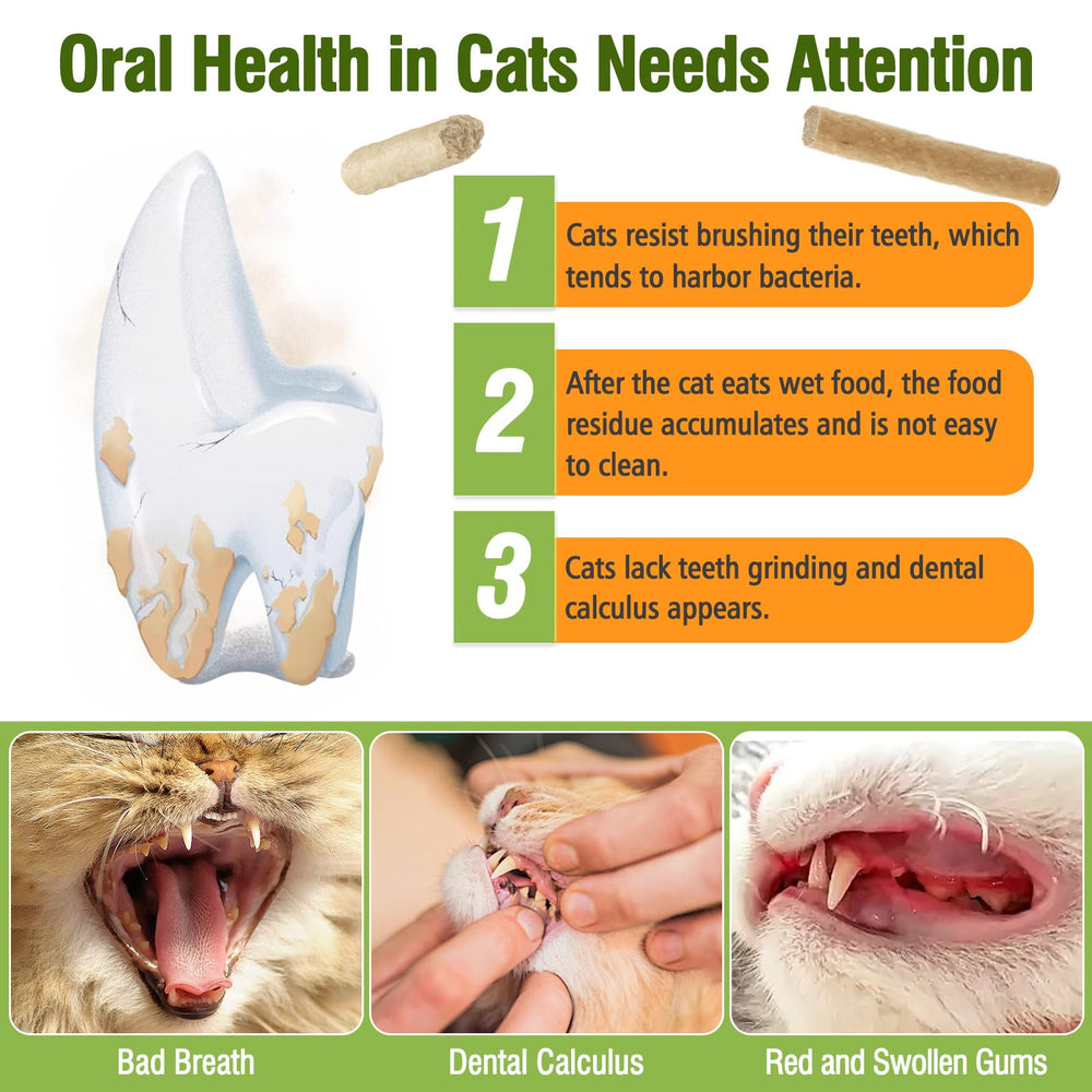 Puxulyiz cat dental treat close-up shows porous texture for cleaning.