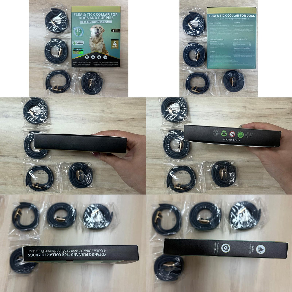 Puyrzoe black collar on dog with stylish look