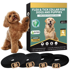 Puyrzoe black flea collar on dog front for all-day protection