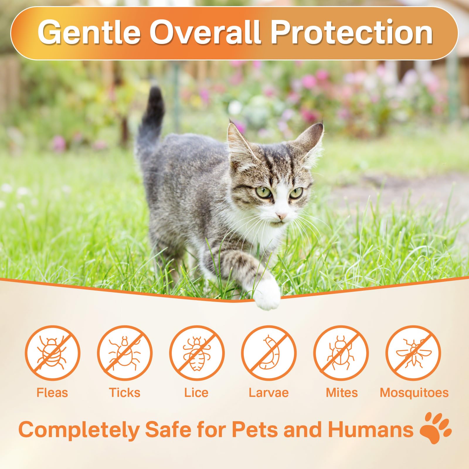 Puyrzoe cat chewables in use during playtime for convenient flea prevention