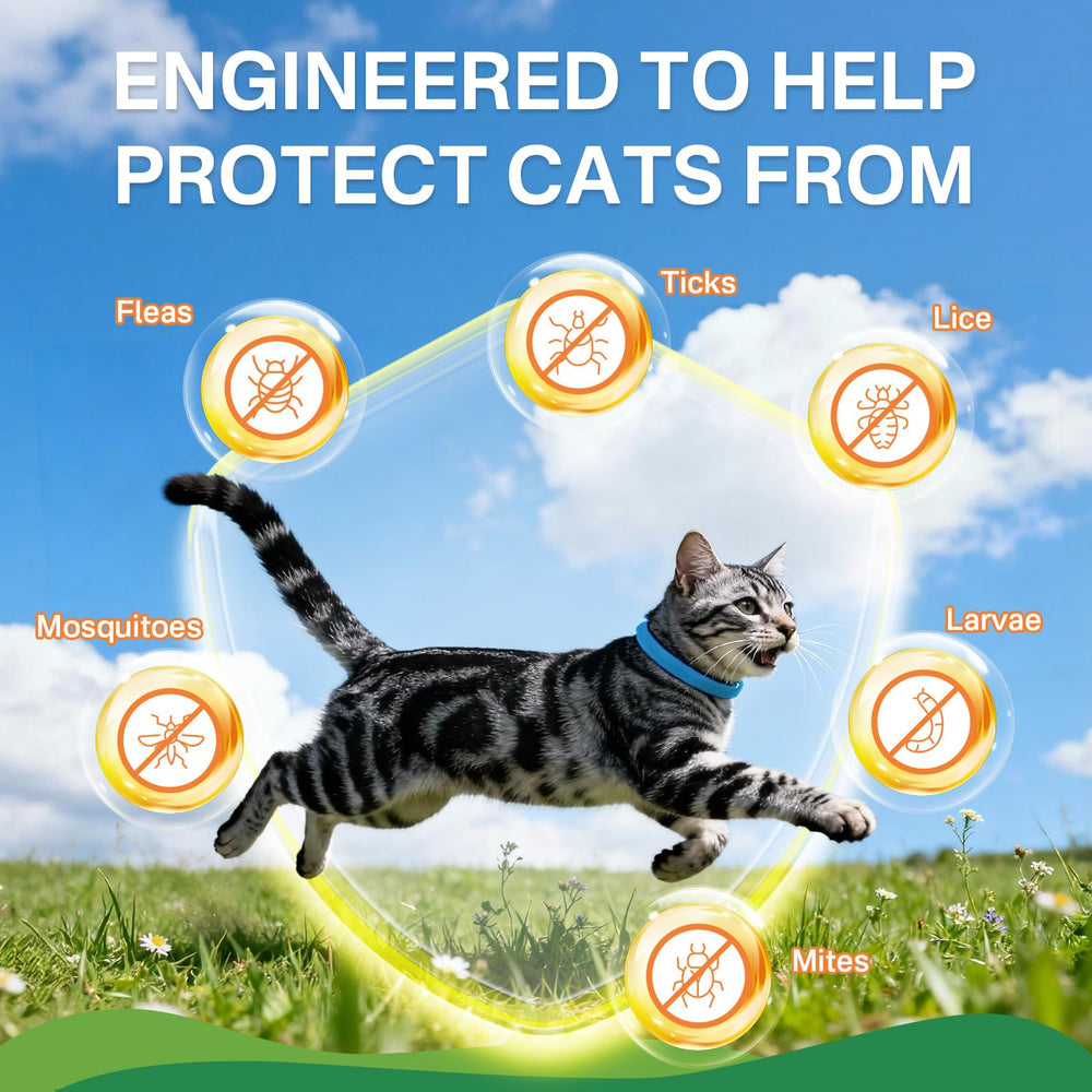Puyrzoe two-color flea collar design blends style with protection