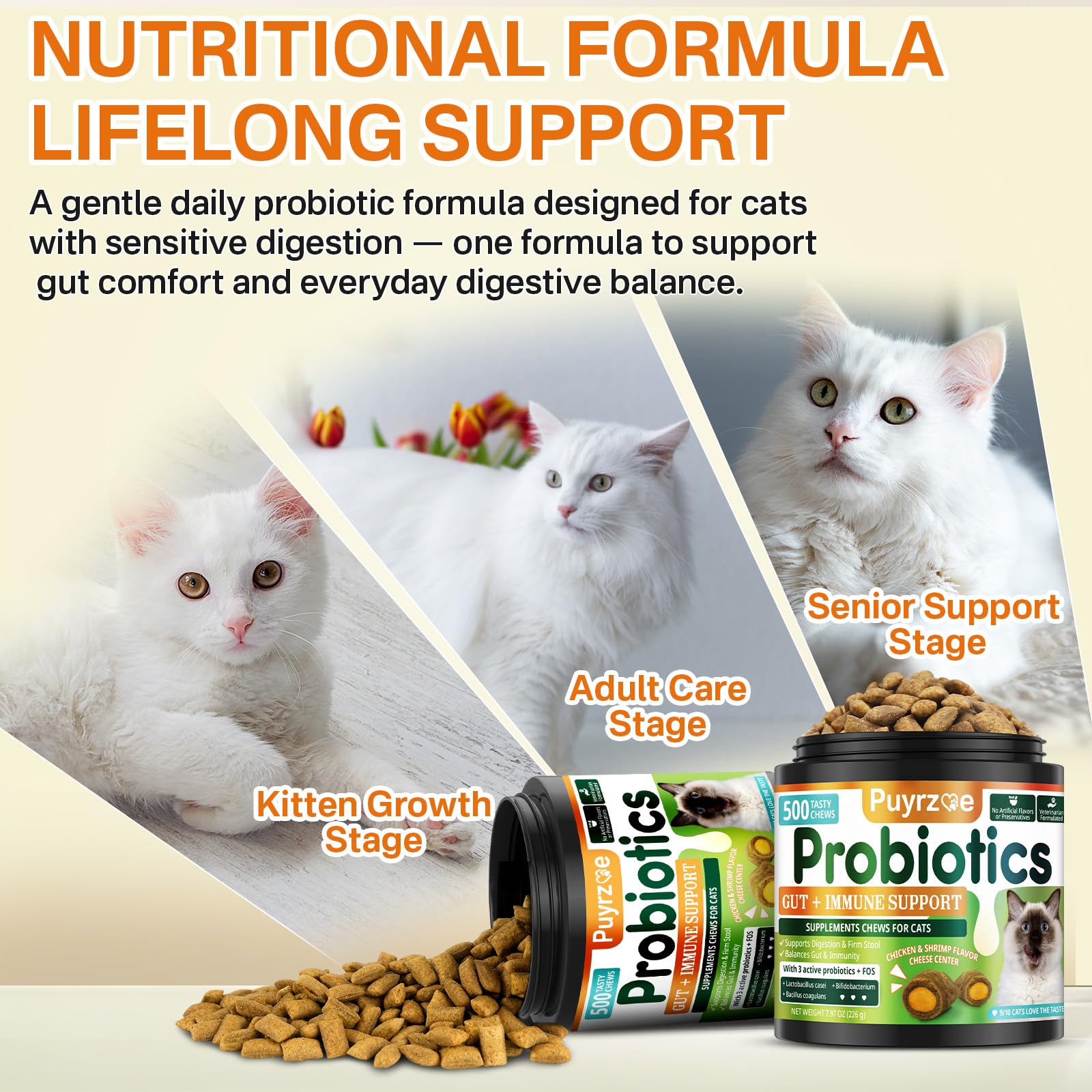 Puyrzoe bottle label highlights 500 chews for convenient households.