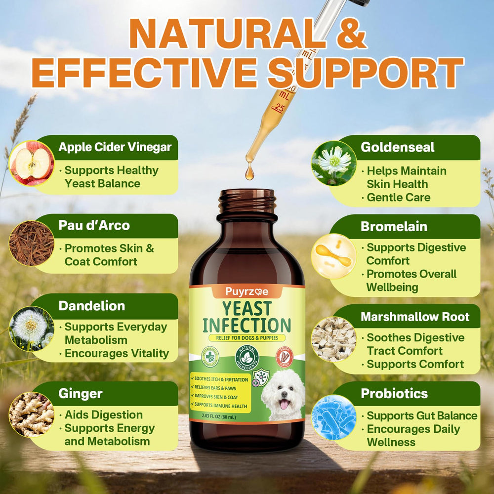 Puyrzoe digestive balance support promotes gut health in dogs.
