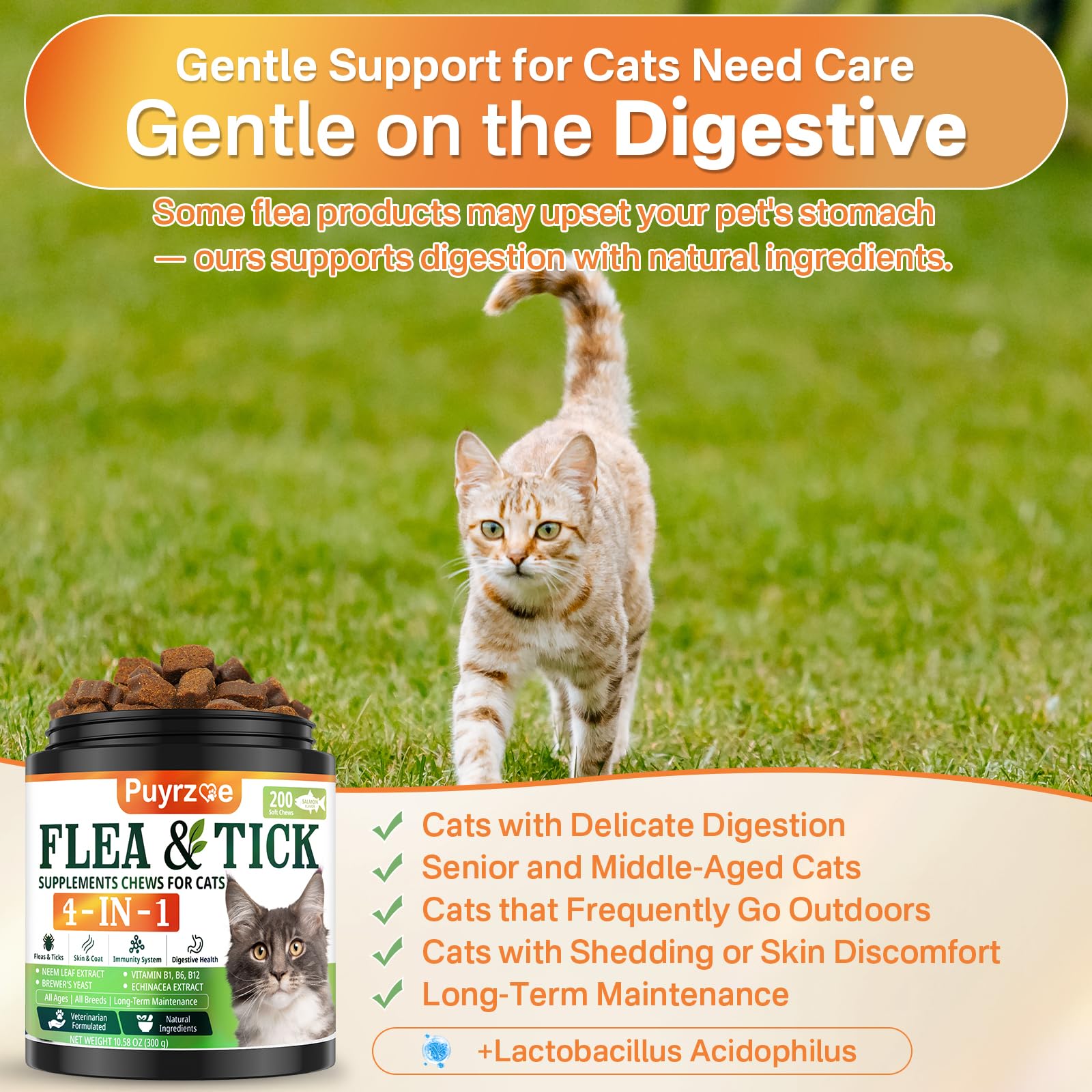 Puyrzoe digestive care chews with probiotics for gut balance