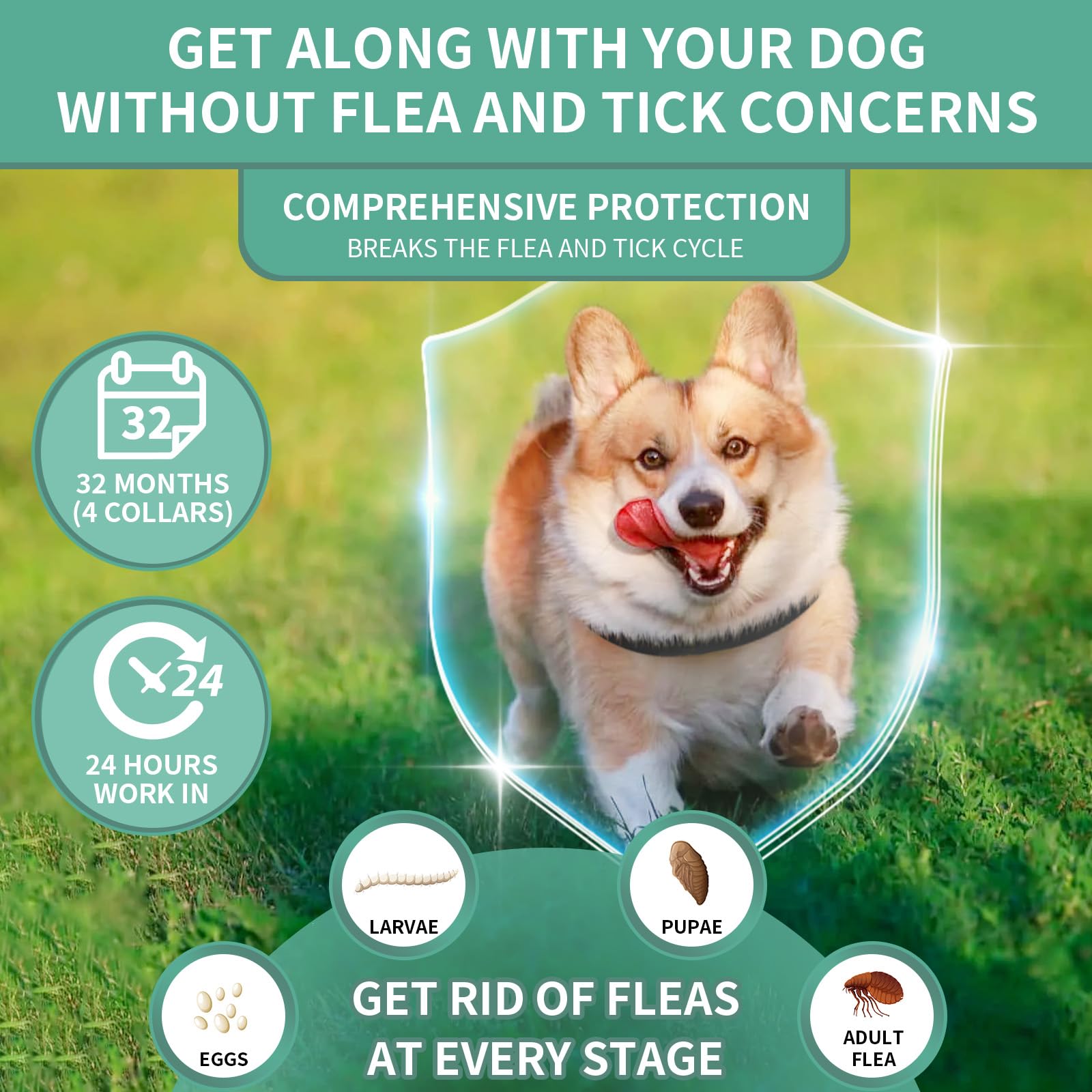 Puyrzoe four-pack display showing complete protection