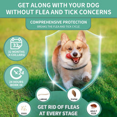 Puyrzoe four-pack display showing complete protection