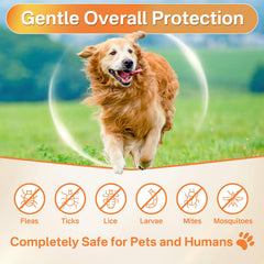 Puyrzoe joint-support chews help maintain mobility and flexibility.