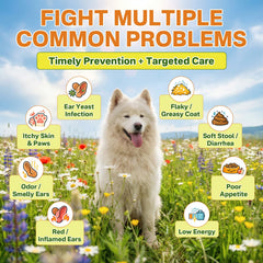 Puyrzoe paw yeast control drops ease licking and redness.