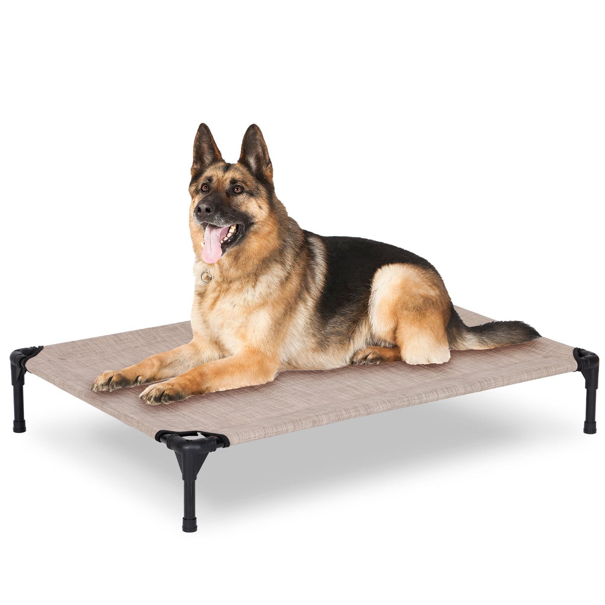 PVY elevated dog bed frame for outdoor use provides sturdy support.
