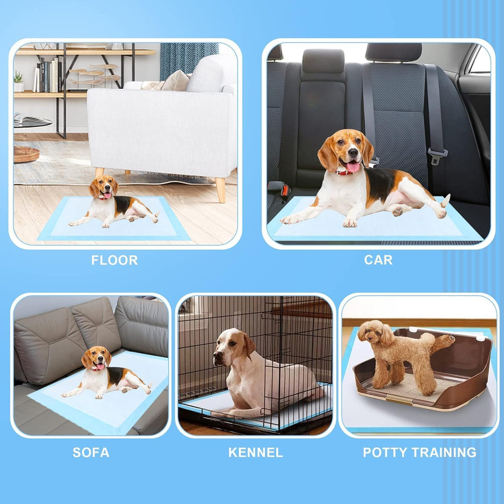 PWQOENFD multi-pet use showing cat, rabbit, and dog suitability