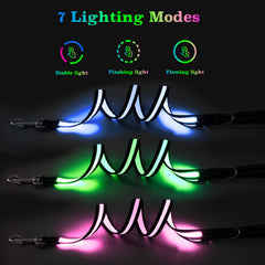 PZRLit leash with a 360° rotating clip to prevent tangles.