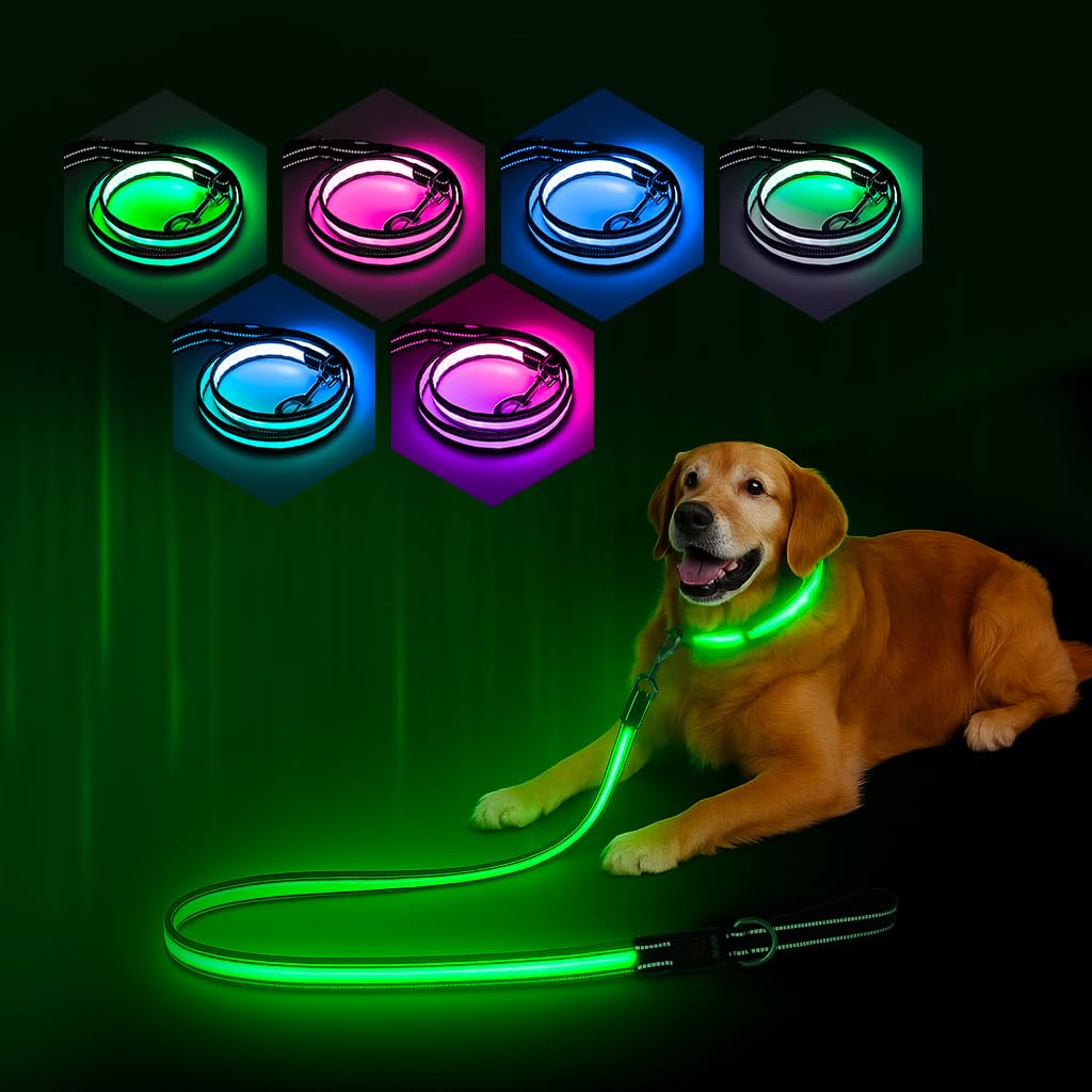 PZRLit light-up leash showing full-length glow for night visibility.
