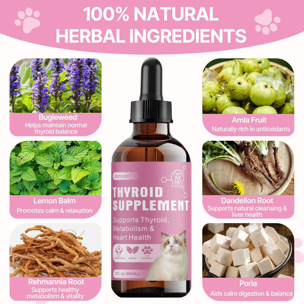Qanoreth Thyroid Support for Cats dosage guidance image suggests easy administration.