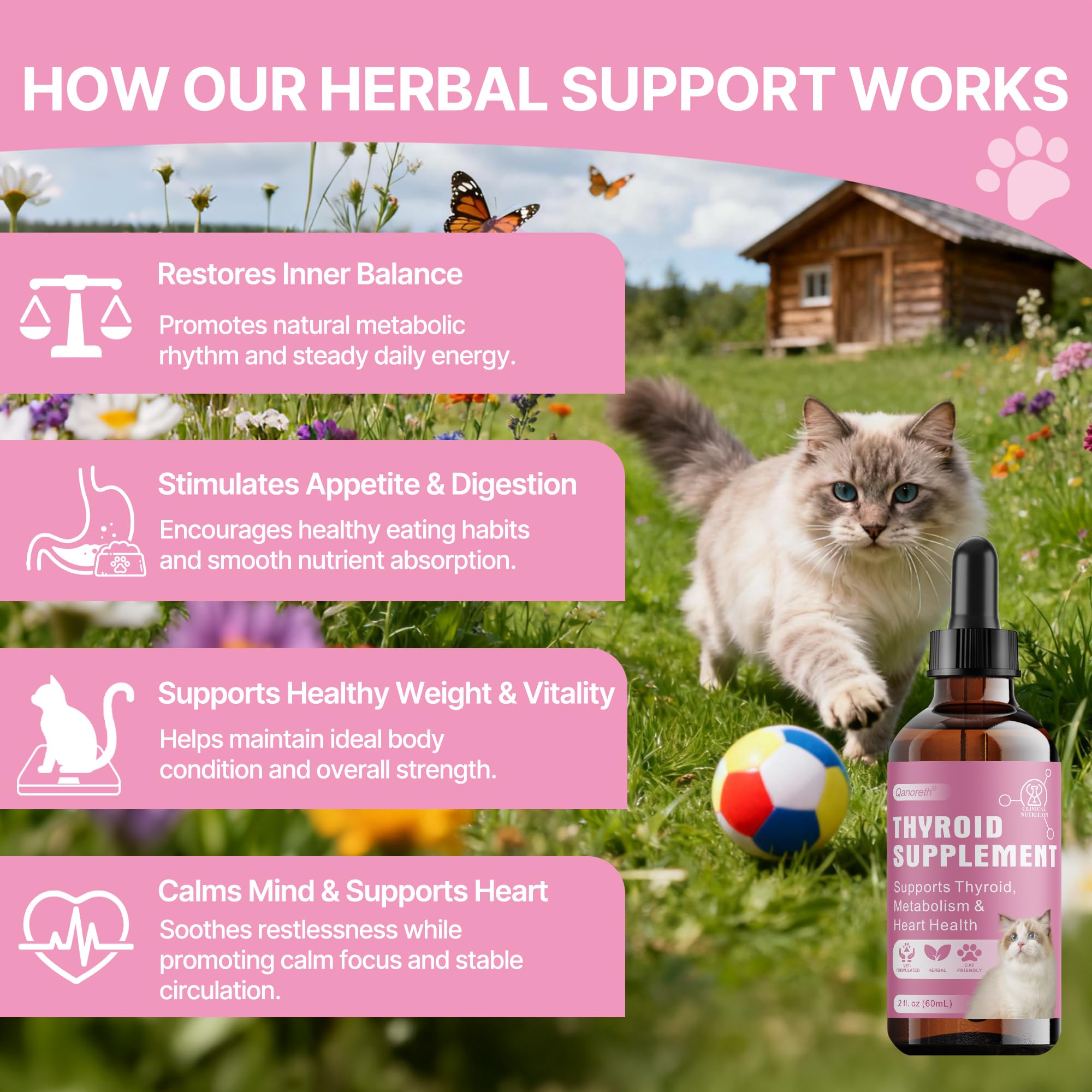 Qanoreth Thyroid Support for Cats dropper demonstrates precise, gentle application.