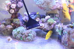 QANVEE built-in brush aids debris removal on glass surfaces.