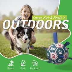QDAN interactive dog toy encourages retrieval and coordination during backyard training