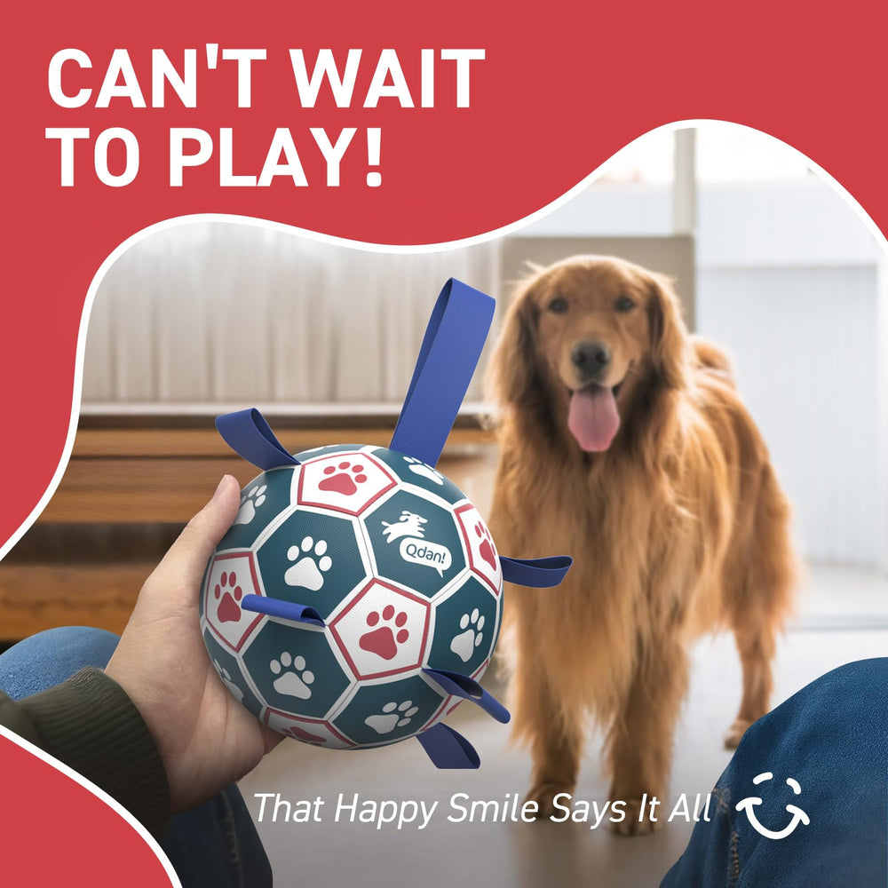 QDAN strap-tug design on durable dog ball for active engagement
