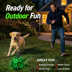 QDAN Glow Soccer Ball with strap supports tug-of-war and retrieval