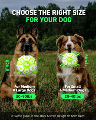 QDAN 6-inch dog soccer ball suited for small and medium dogs.