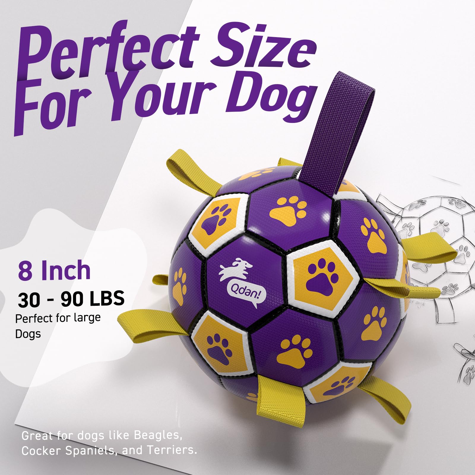 QDAN ball designed for medium to large dogs during active exercise.