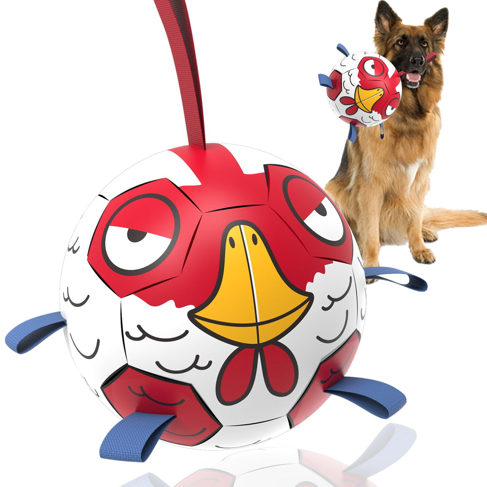 QDAN Chicken Dog Ball Toy with colorful design invites playful engagement.