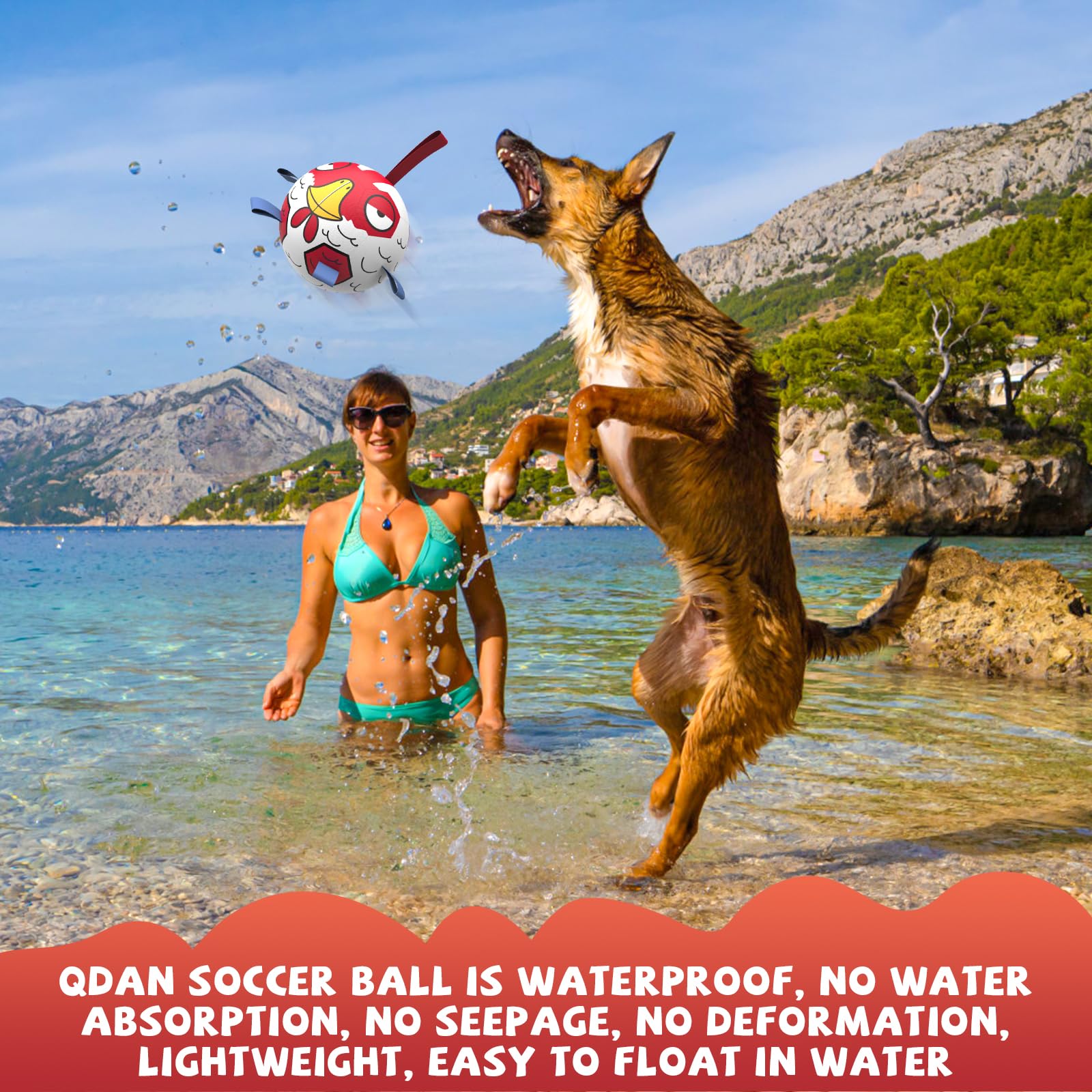 QDAN Chicken Dog Ball Toy durable construction handles energetic sessions.