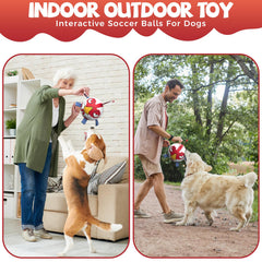 QDAN Chicken Dog Ball Toy long grab strap aids tossing and tug.