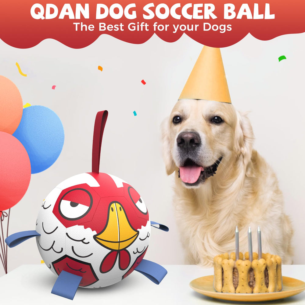 QDAN Chicken Dog Ball Toy with nylon tabs creates erratic bounce.