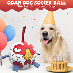 QDAN Chicken Dog Ball Toy with nylon tabs creates erratic bounce.