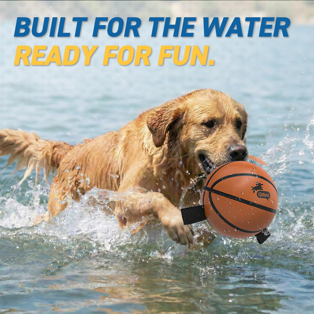 QDAN dog ball basketball toy with pump and needle kit for quick inflation.