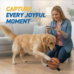 QDAN dog ball basketball toy made from non toxic materials for safe fun.