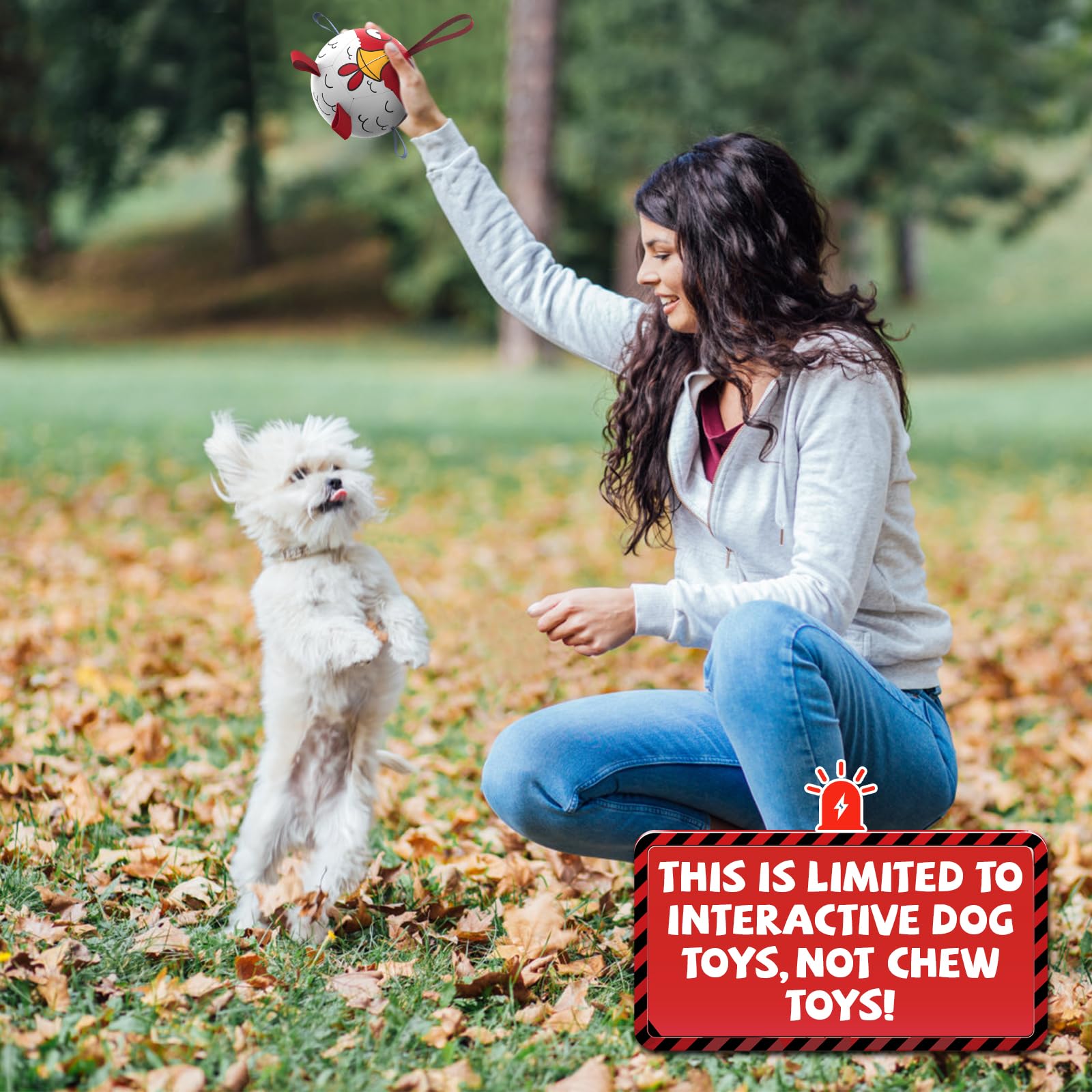 QDAN colorful dog ball—great gift for outdoor adventures.