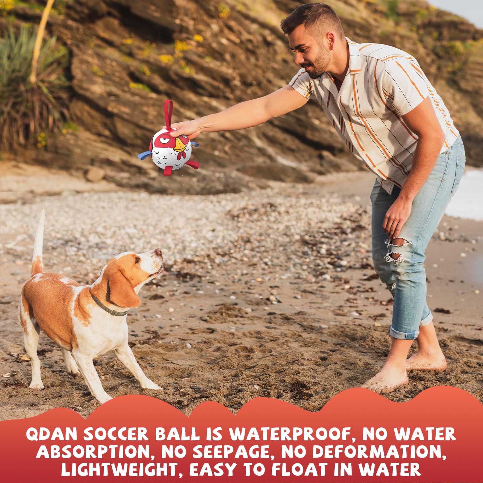 QDAN ball helps energy release and active exercise for puppies.