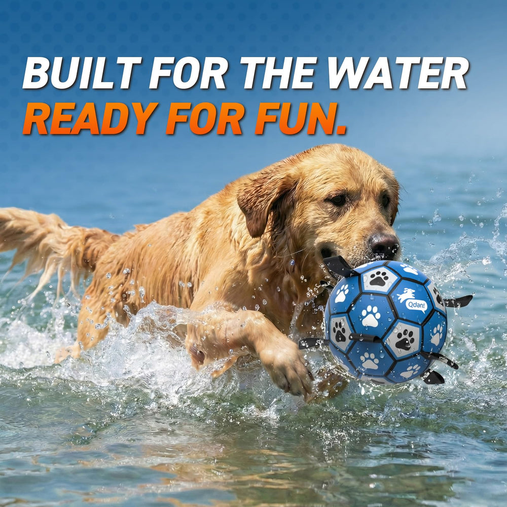 QDAN ball with grab straps supports interactive fetch sessions.