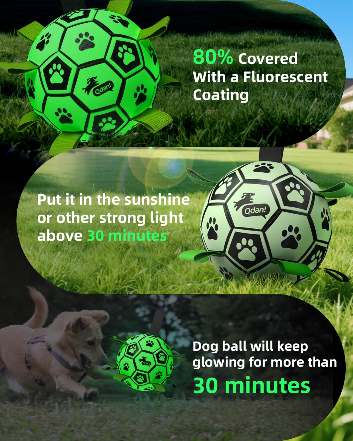 QDAN interactive ball with handle for easier fetch and training.