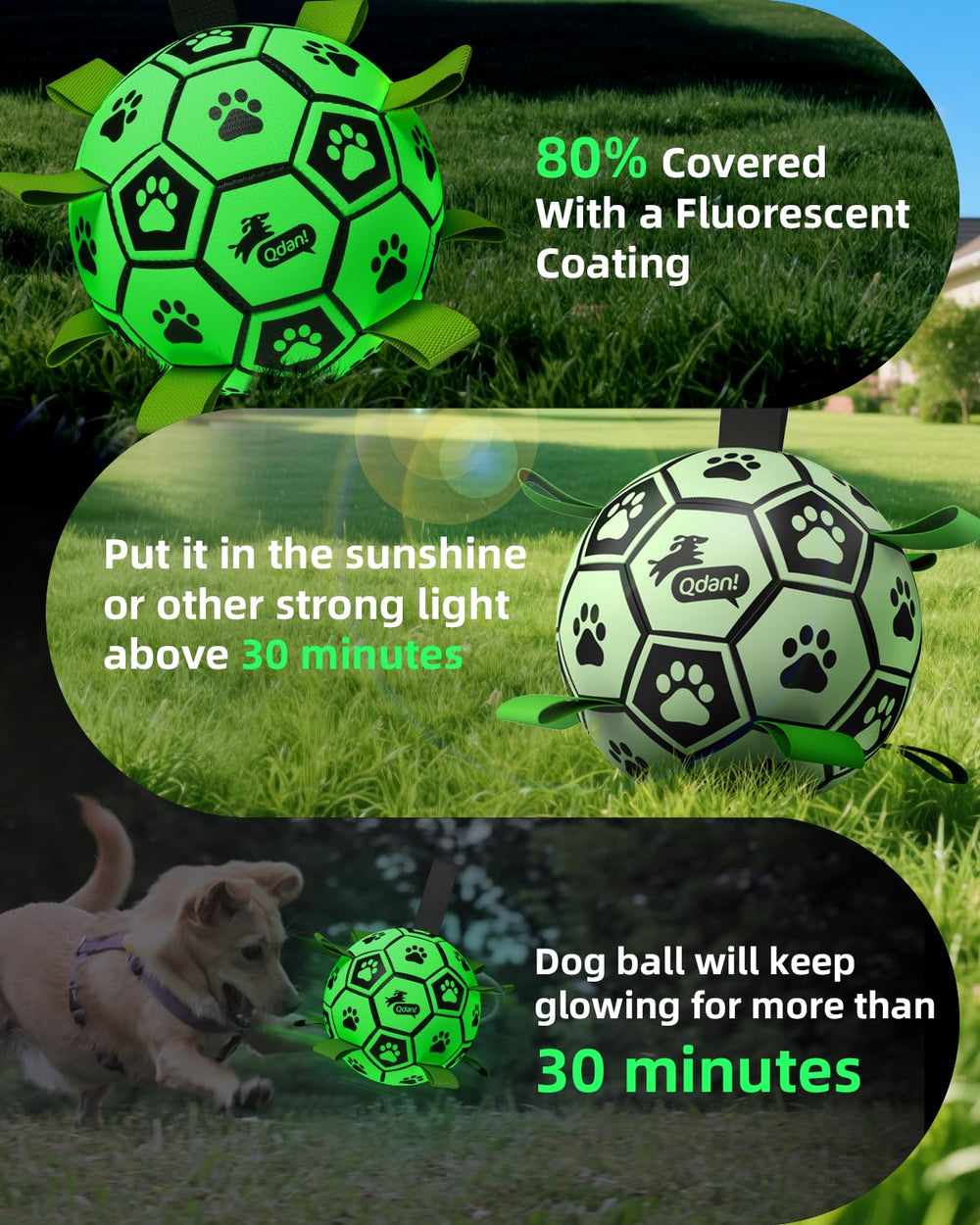 QDAN interactive ball with handle for easier fetch and training.