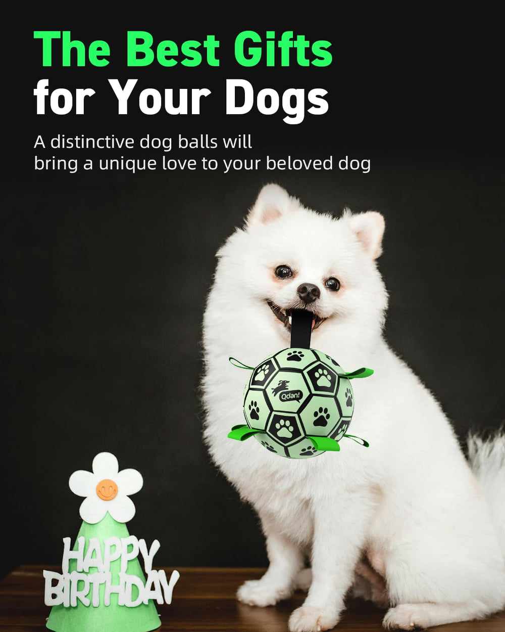 QDAN dog ball with nylon straps boosts toss and tug games.