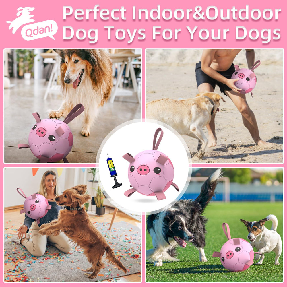 QDAN ball features paw-print design for quick visual appeal during games.