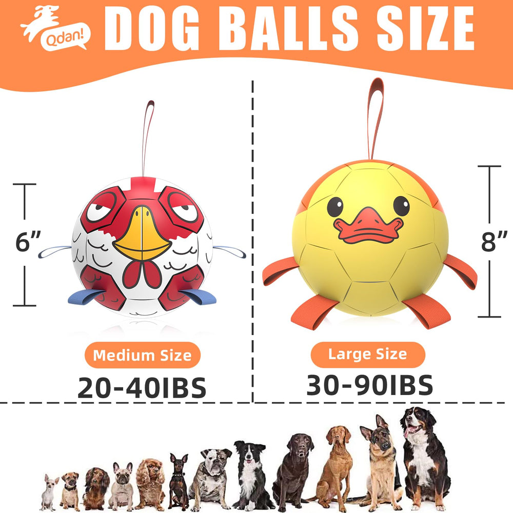 QDAN ball features paw-print detail appealing to dogs and owners