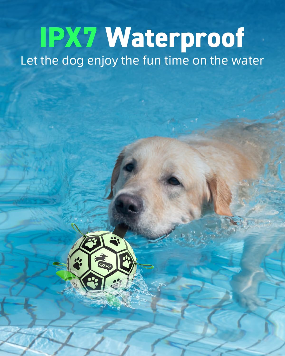 QDAN paw-print design enhances visibility and appeal during play.