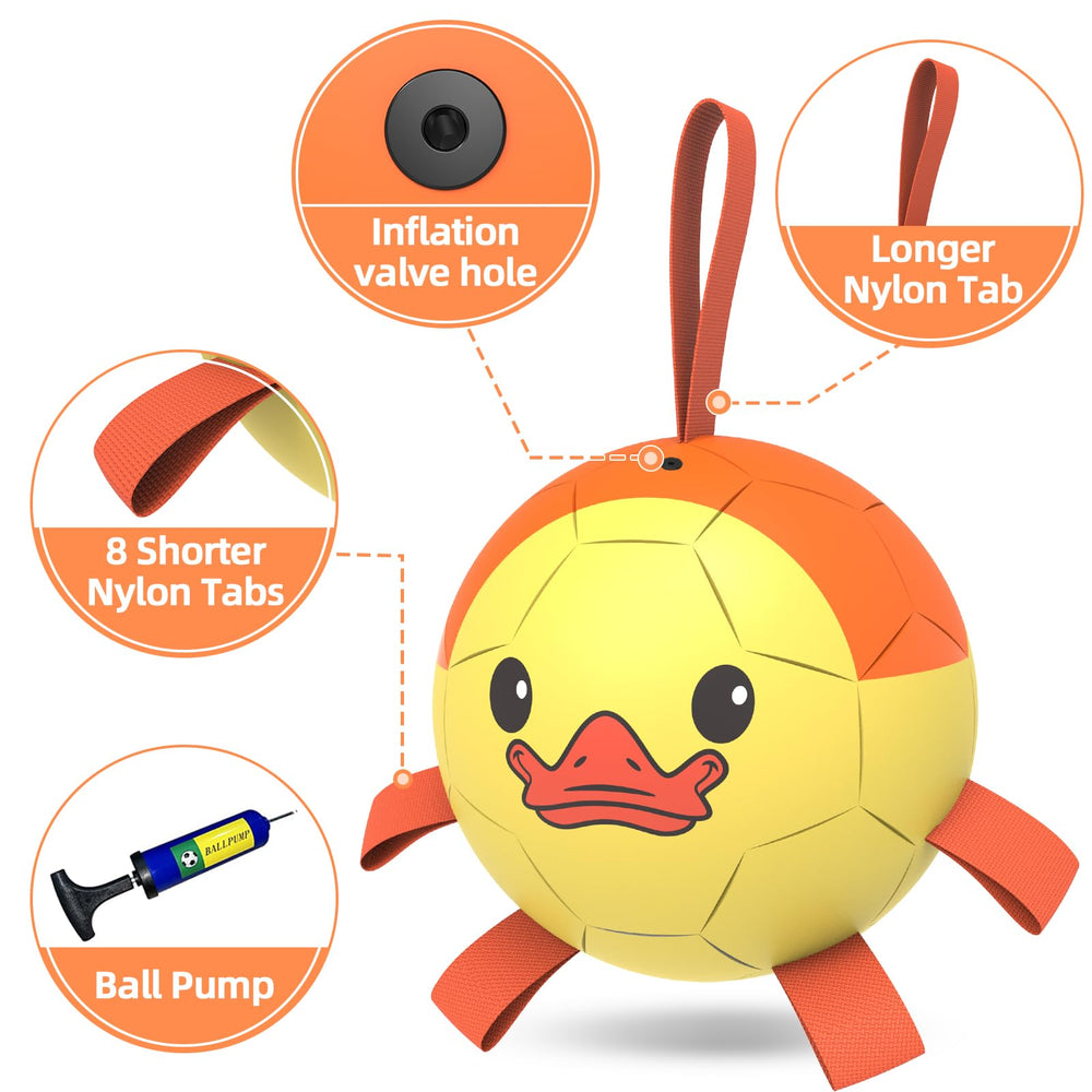 QDAN ball comes in medium and large sizes for different breeds