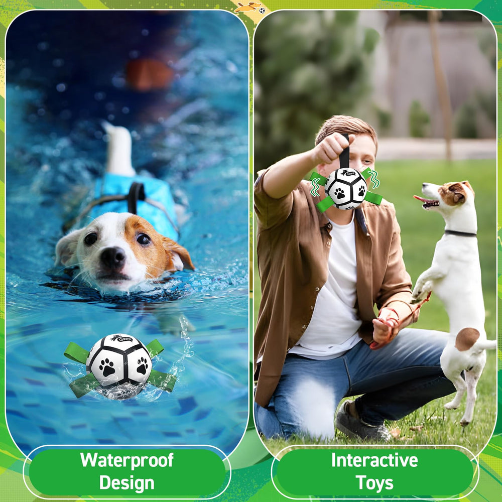 QDAN dog ball small-dog friendly design for easy grabbing and birthday gifts.