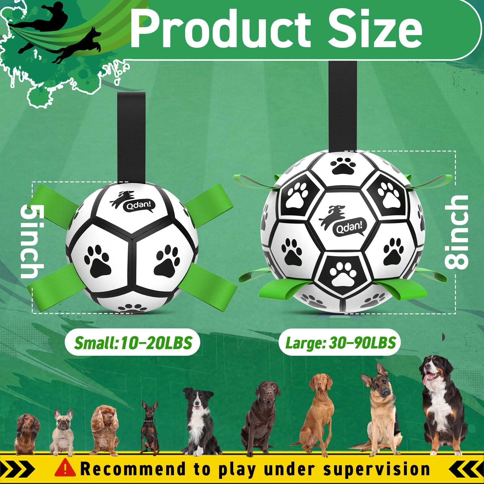 QDAN ball with squeaky interior bell enhances chase and indoor play sessions.