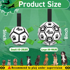 QDAN ball with squeaky interior bell enhances chase and indoor play sessions.